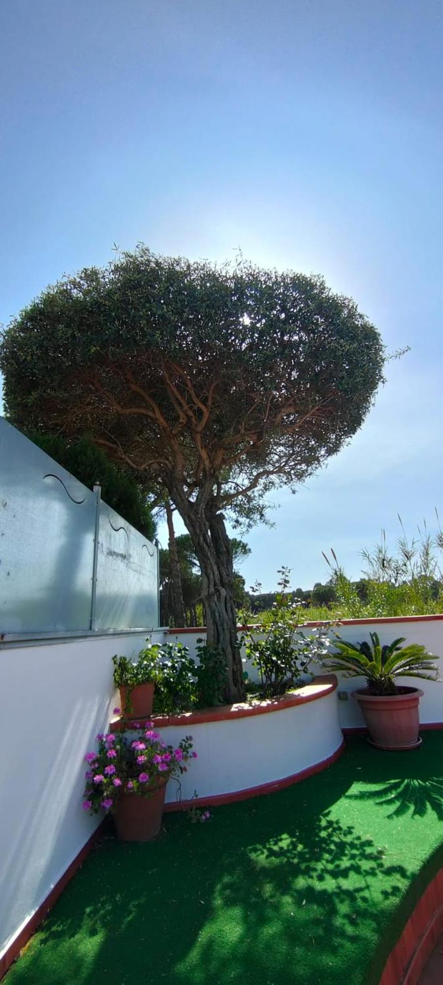 Hotel B&B Marina Capaccio Exterior foto